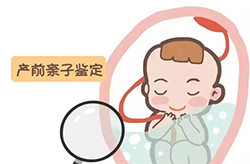鄂州孕期亲子鉴定流程是怎样的呢，鄂州孕期亲子鉴定出结果要多久